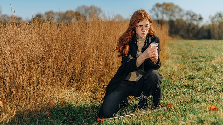 Cecil College Agricultural Sciences Degrees - Student studying a sample in a field.